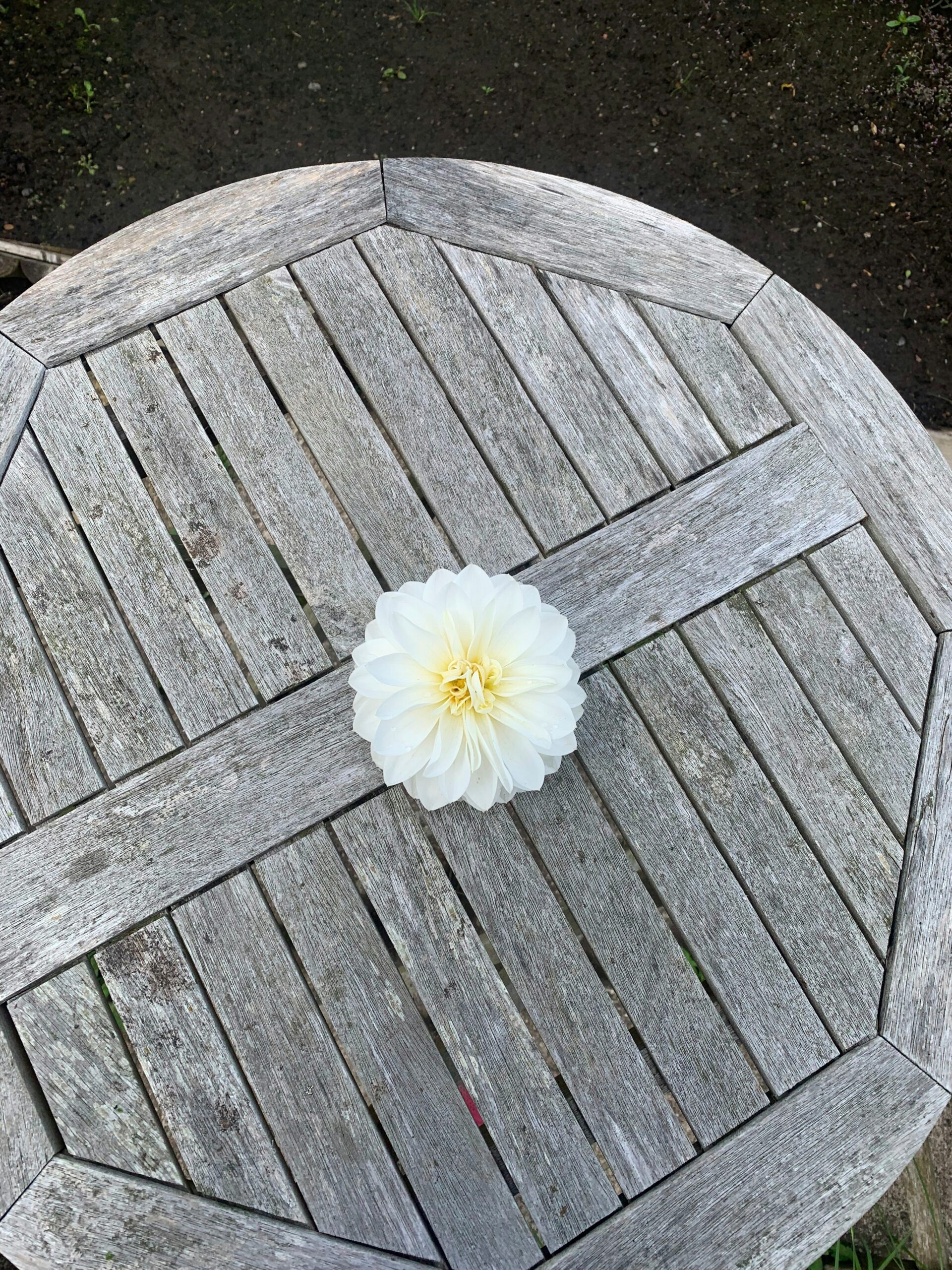 Hello world!